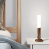 Smart Sensor Lamp | Afneembare Lamp + Magneet